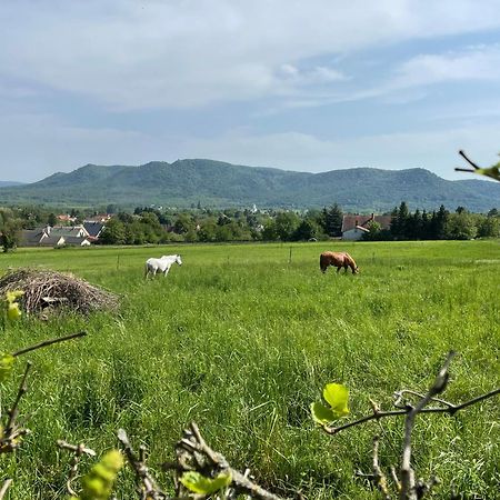 Stupa-Rezi-Tatika-Haz Lägenhet Zalaszanto Exteriör bild