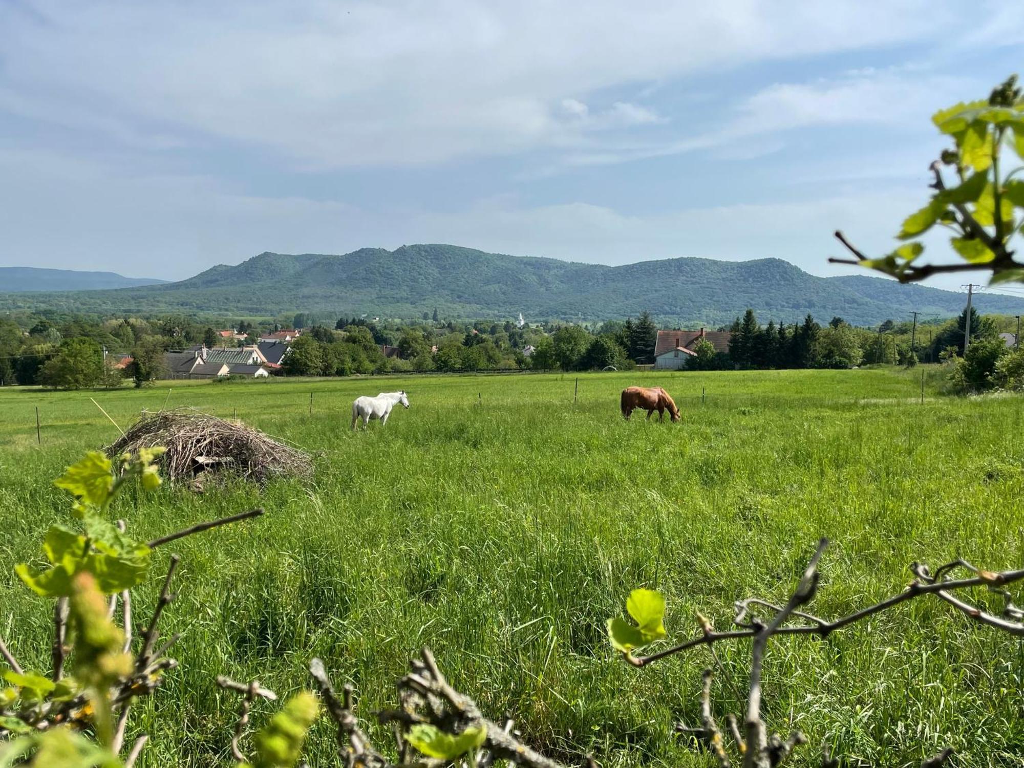 Stupa-Rezi-Tatika-Haz Lägenhet Zalaszanto Exteriör bild